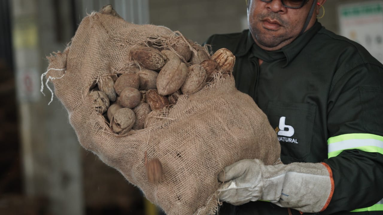 Produtora de biodiesel usa biomassa de coco para aquecer caldeiras