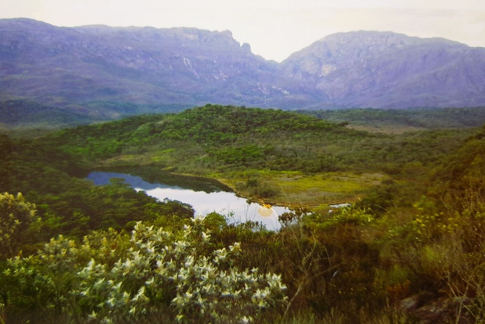 Terras raras: Brasil está pronto para virar protagonista global