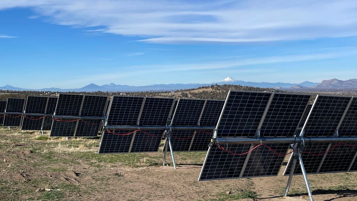 NewSun Energy
