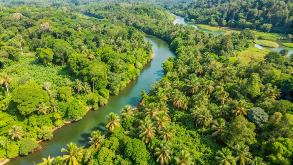 Internet no fundo dos rios já conecta 6 milhões na Amazônia
