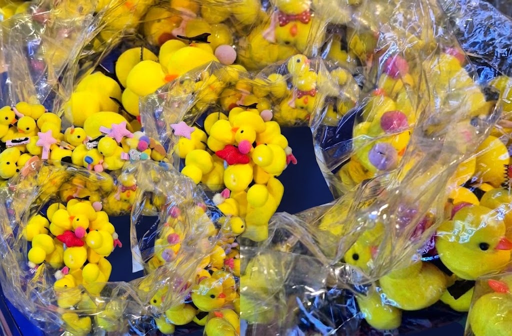 Bienal estava cheia de Patinhos Literários